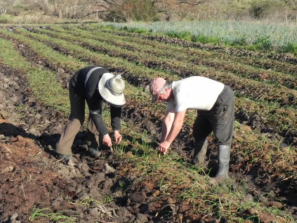El ministro de Ganadería reiteró el valor que para el gobierno tiene la producción familiar.