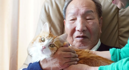 iwao Hakamada, japonés absuelto tras pasar casi medio siglo en el corredor de la muerte