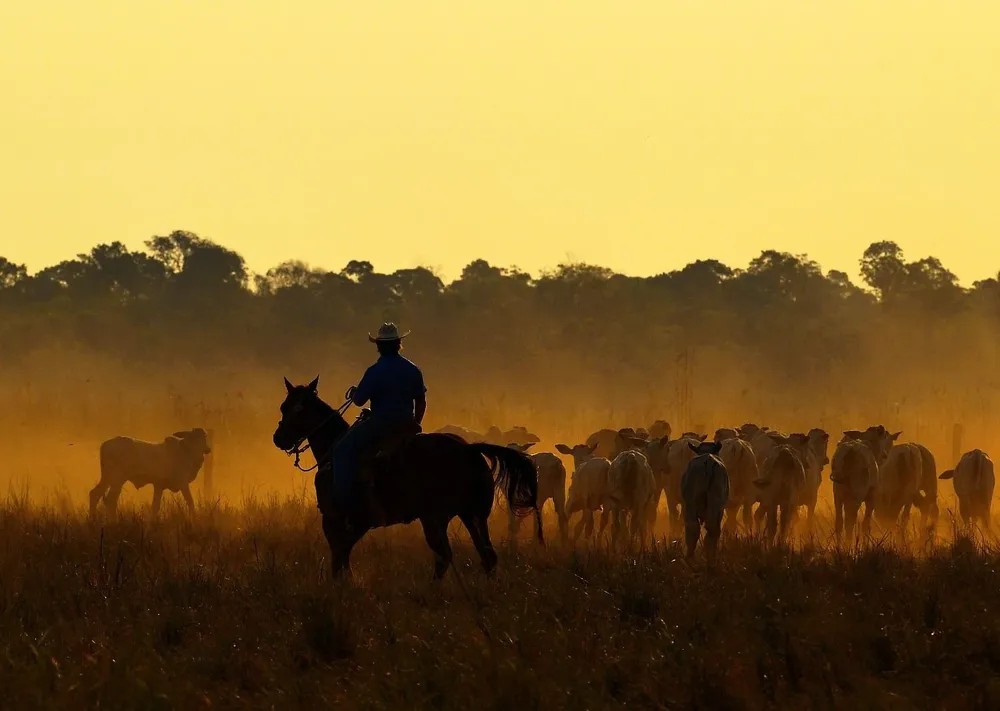 Atardecer en un campo de Brasil