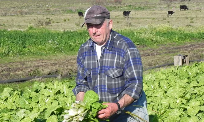 Gobierno baja los requisitos para el seguro de desempleo