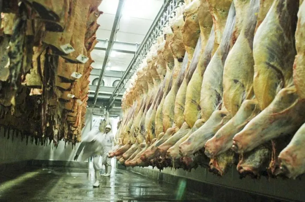 Mercosur espera la oferta para la cuota cárnica por parte de la Unión Europea