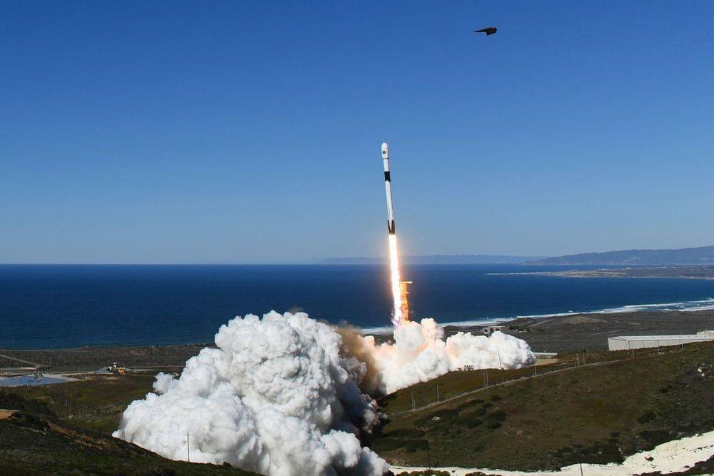 Musk cree que sus proyectos de exploración espacial avanzarían más rápido con menos regulaciones.