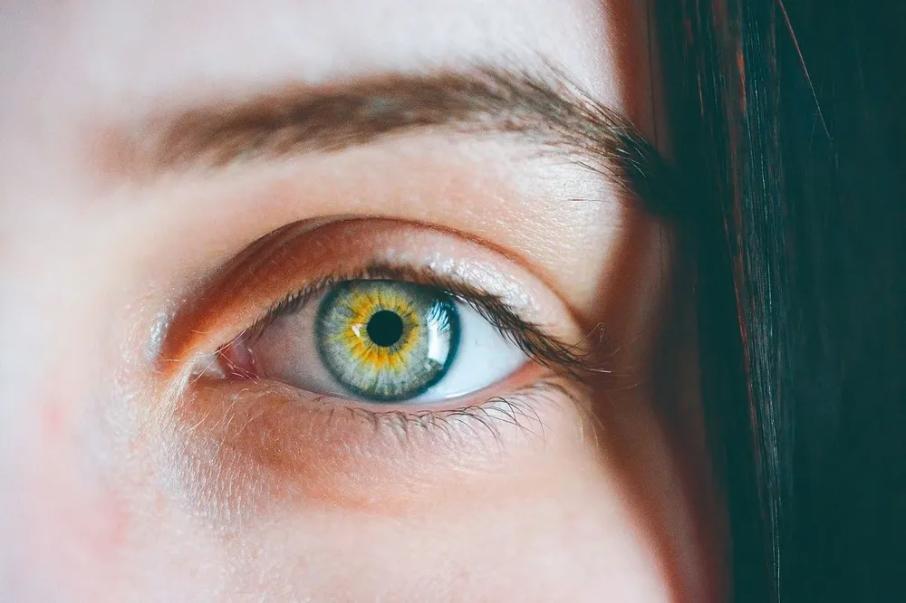 Hay alimentos clave en la dieta para preservar la visión