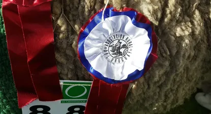 El Observador | 1536883602866.webp