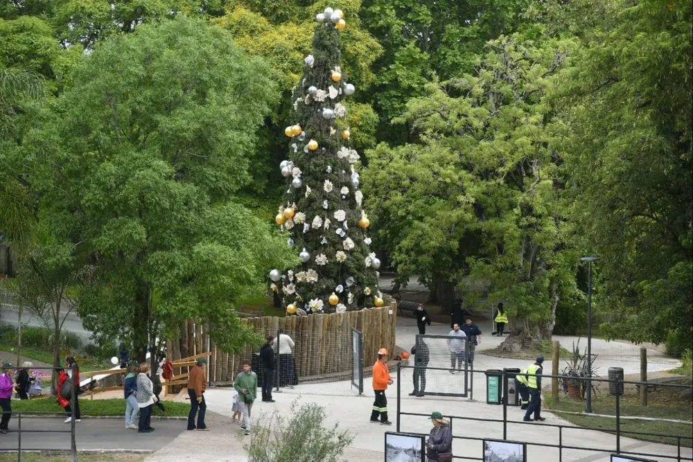 Nuevo Parque Villa Dolores