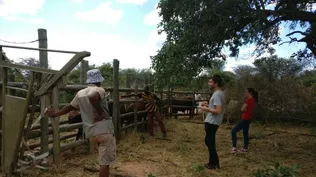 Alonsoperez viajó a Kenia y Namibia a principio de año