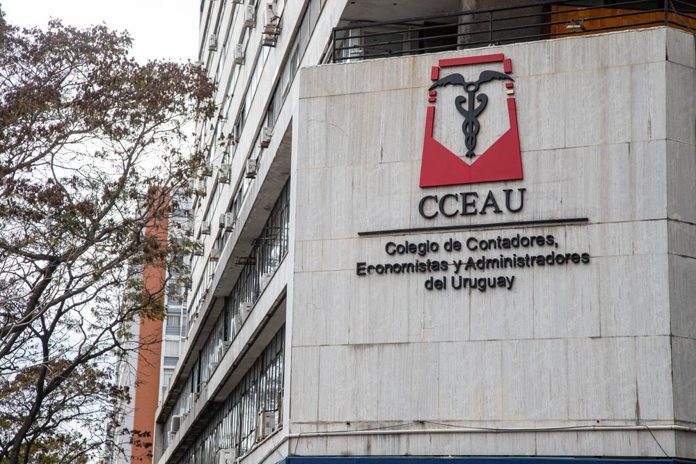 Colegio de Contadores﻿ por proyecto de ley sobre Caja de Profesionales