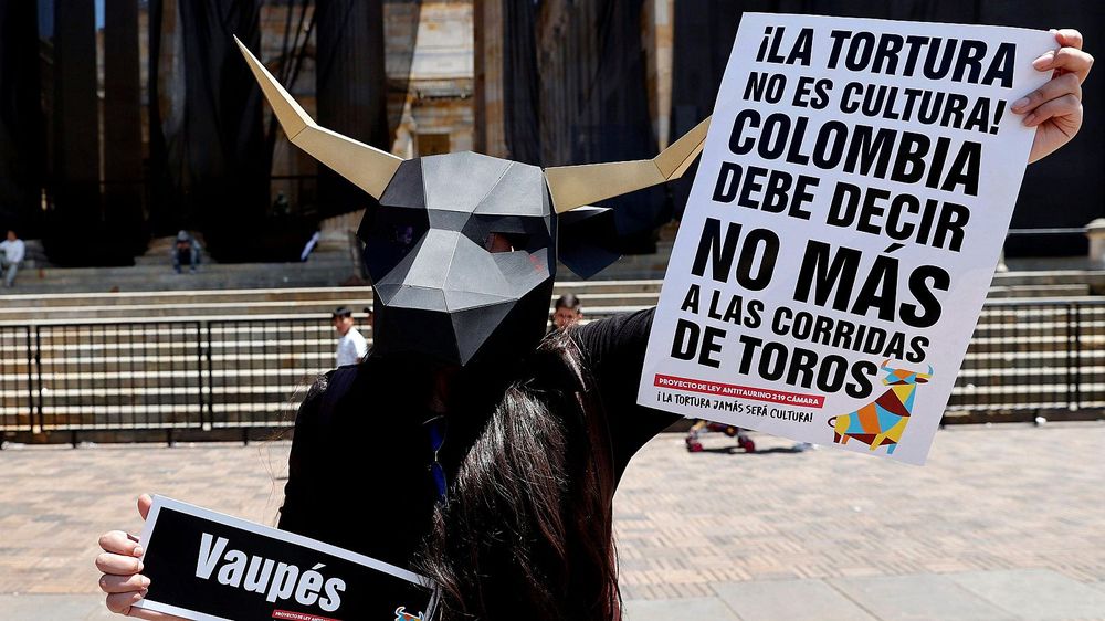 Un activista durante una manifestación contra las corridas de toros en Bogotá
