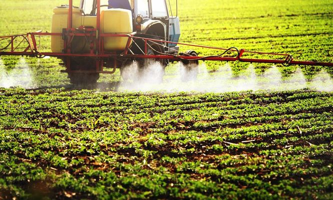 Las plantas modificadas para producir feromonas podrían reducir drásticamente el uso de plaguicidas.