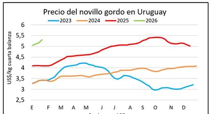 Ganado gordo: el año arrancó con precios al alza.