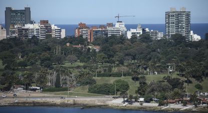 Precio promedio de alquileres fue 7% más caro que el año anterior: ¿qué espera el sector inmobiliario en 2025?