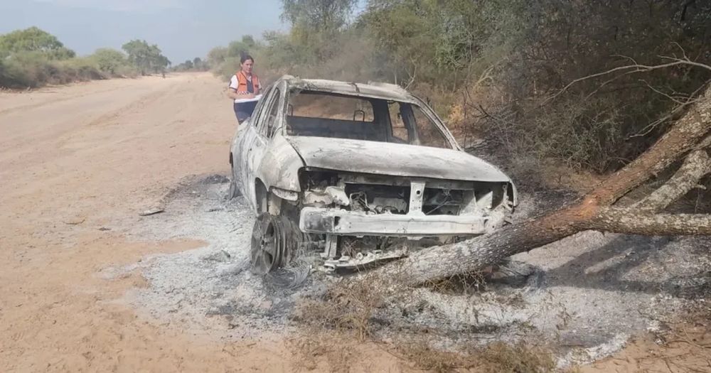 Así quedó el auto del hombre atacado por abejas, tras el choque fatal.