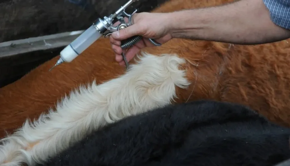 La sanidad animal se presenta con nuevos desafíos.