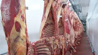 Marfrig compra planta en EEUU y será el segundo productor mundial de carne vacuna