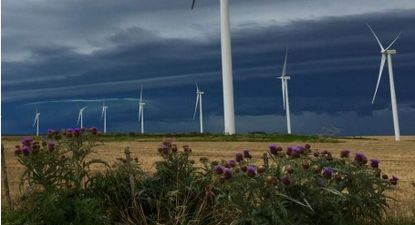 Parque eólico Arias.