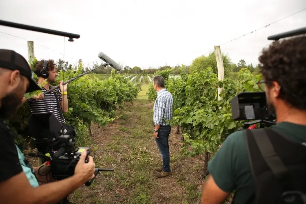 Otra cosecha retrata las distintas etapas de la vendimia 2021