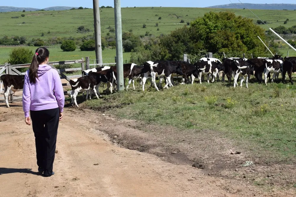 Algunos cursos comenzarán en 2021 y otros en 2022.
