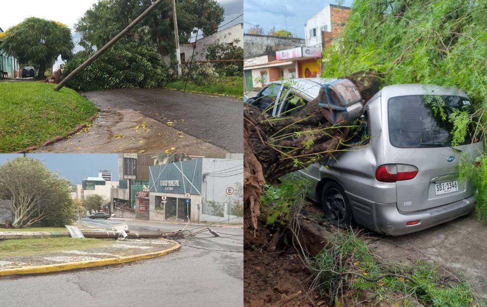 Temporal﻿ Rivera