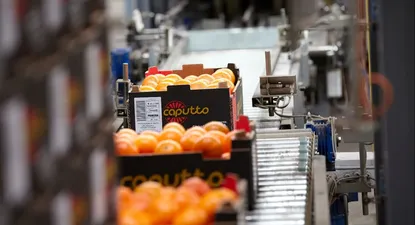 A 10 años del Plan Estratégico y Diseño Institucional para el Sector Citrícola en Uruguay