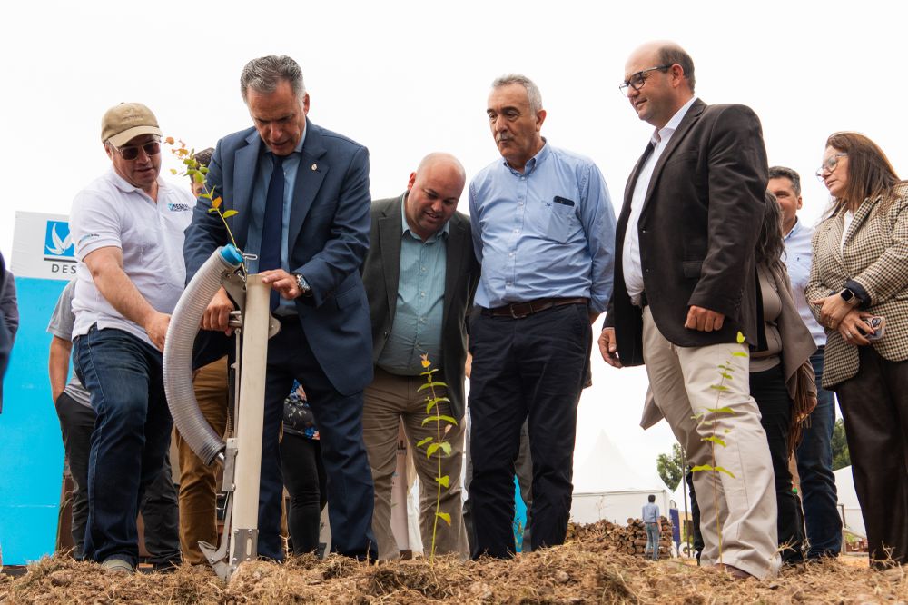 Uruforest 2026: el presidente Orsi, utilizando una herramienta innovadora para sembrar plantines al campo, plantó un eucaliptus.