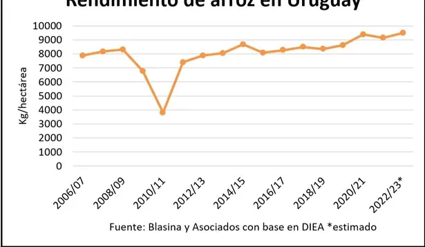 Tres años al hilo con rendimientos por las nubes.