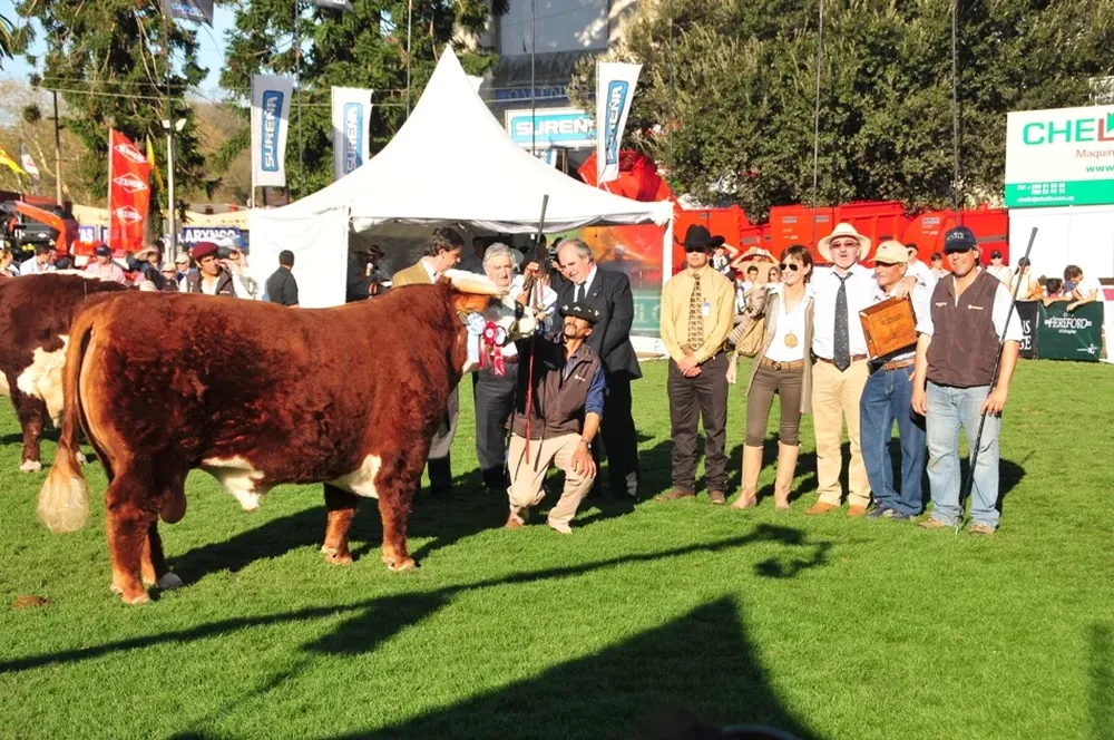 El Presidente Mujica corona al Gran Campeón Hereford de la Elisa de Romay Elorza