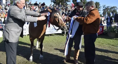 El Observador | 0020143888.webp
