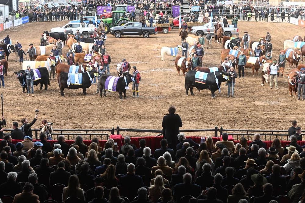 Javier Milei en la Rural
