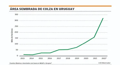 El Observador | 1669924169190.webp