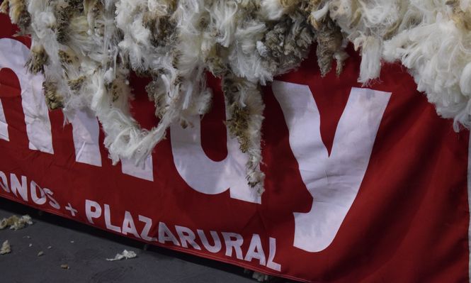 Rubro ovino: un arranque de año ideal si se observan los ingresos por exportaciones.