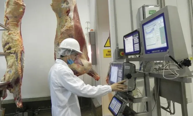 Uruguay redujo 50% pérdidas en la carne