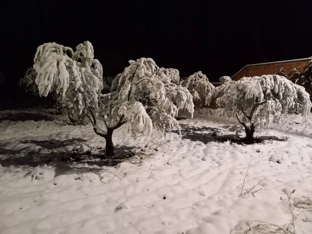 La borrasca Juan deja 8/10cm de nieve en Tulebras, Navarra (375m)