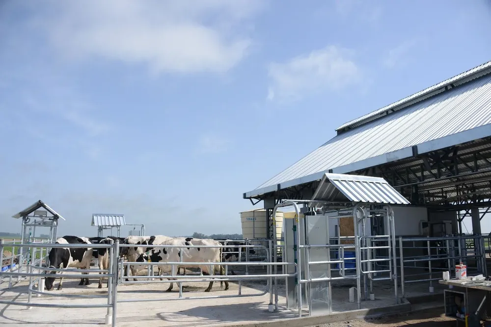 Inale: nuevos datos sobre remisión de leche.