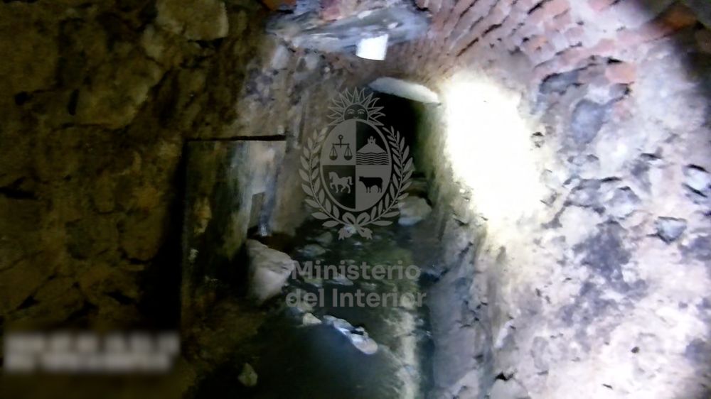 WhatsApp Image 2026-02-04 at 11.41.38