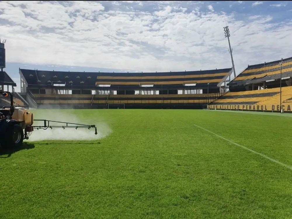 El estado del campo de juego del Estadio Campeón del Siglo está mucho mejor que hace tres semanas