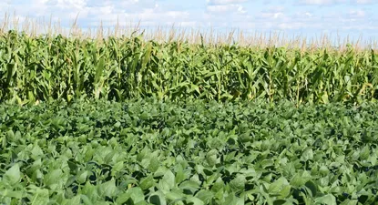 Wellenstein subrayó la importancia de la trazabilidad y de producir con confianza, como en Uruguay