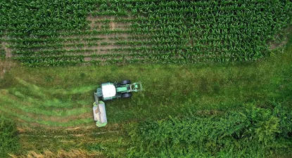 El Observador | 000_1V63W7.webp