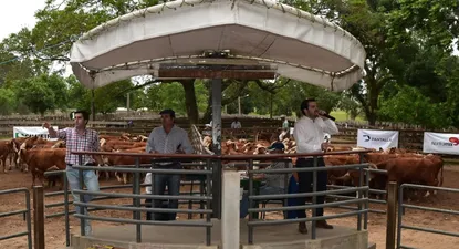Las ventas estarán financiadas por el Banco República.