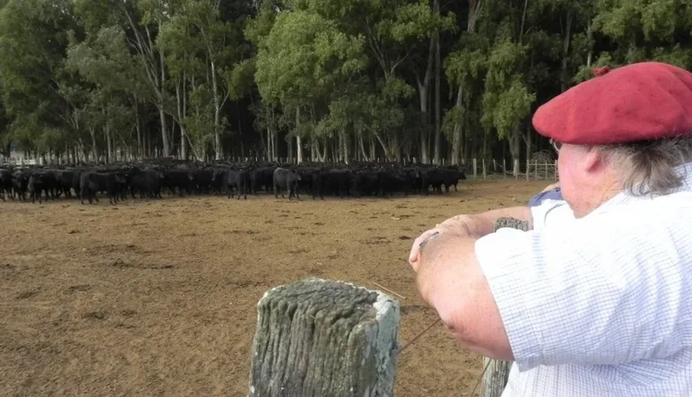 Los criadores de Angus recorrieron varios predios en dos días