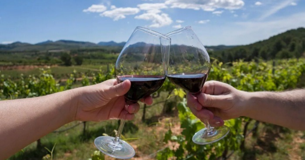El consumo de vino baja un 9,3%