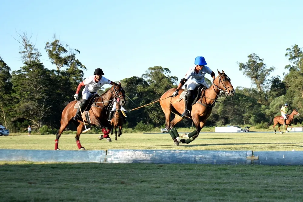 Uruguay clasificó al World Polo Championship 12º FIP