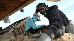 Muchos trabajadores agrícolas en EE.UU. son migrantes.