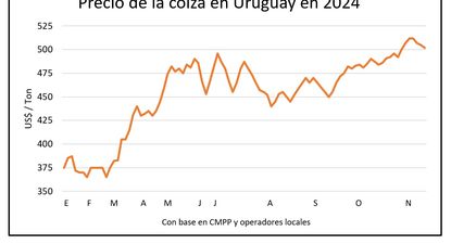 Granos: precios inestables en la mayoría de los casos.