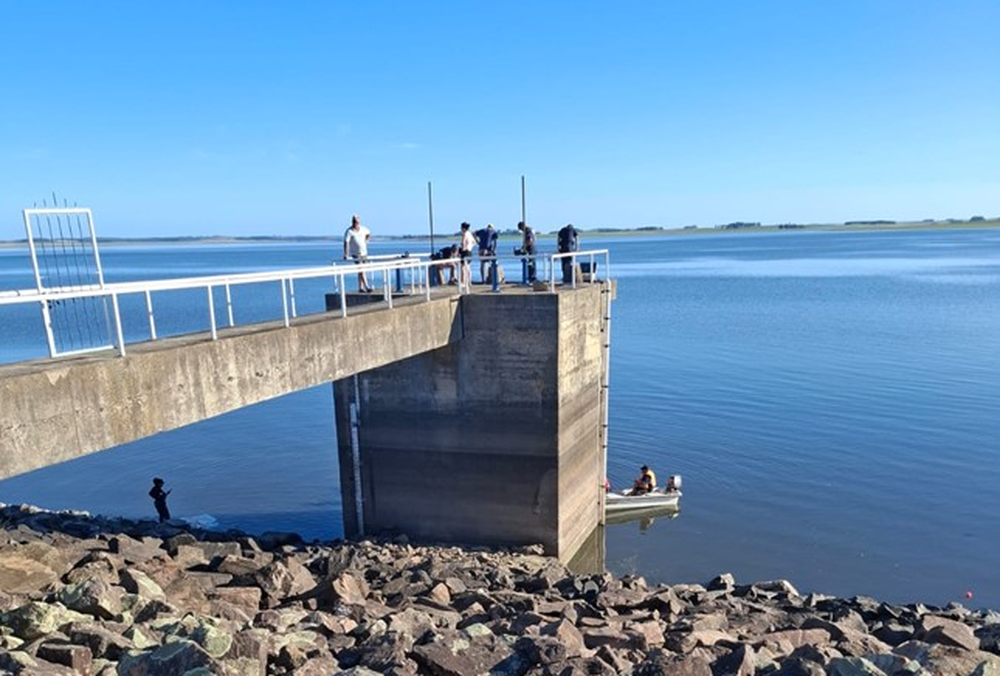 Represa india muerta