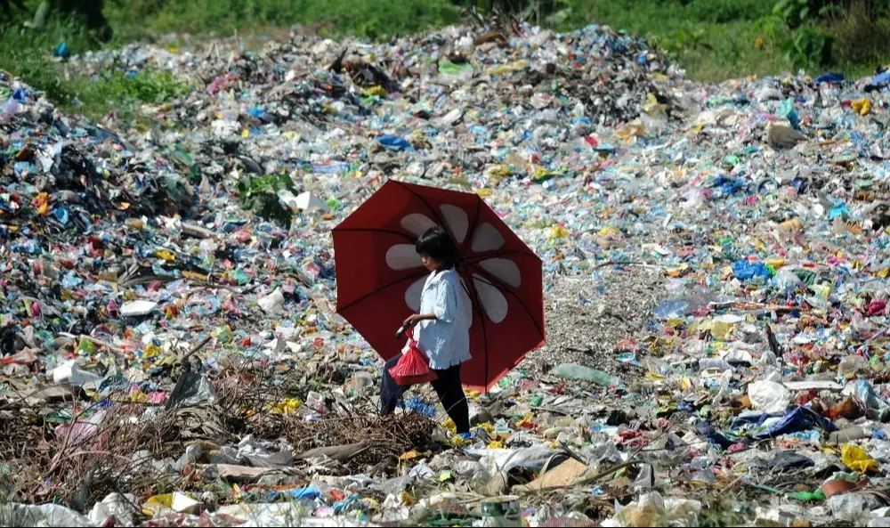 En los países ricos se recoge lo esencial, mientras que en los países de bajos ingresos la tasa es inferior al 40%.