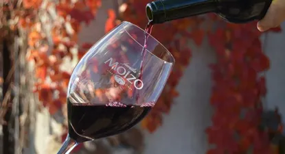 Aires innovadores para impulsar a las bodegas locales