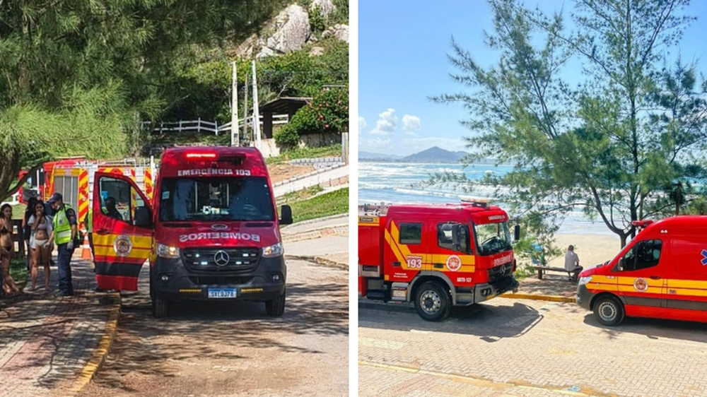 padrehijauruguayosbrasil