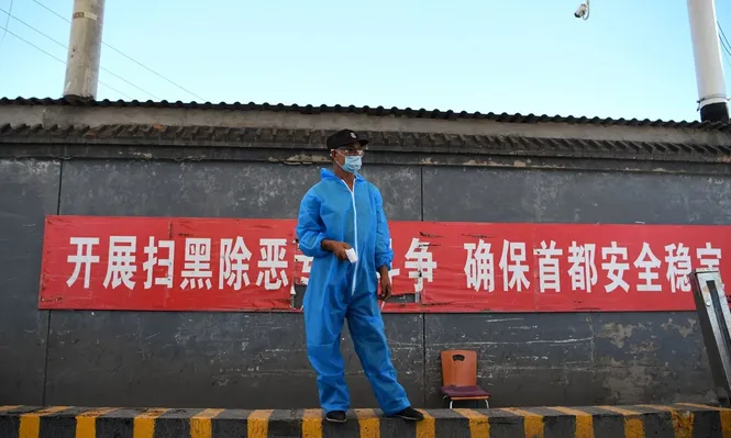 Descubren en China nuevo virus de gripe porcina con potencial para otra pandemia