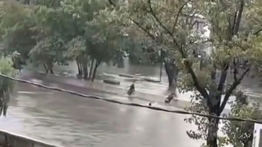 Al momento del hecho Bryan se encontraba junto a dos amigos con los que se metió a nadar al canal José Ingenieros, en el partido de San Martín, en el noroeste del conurbano