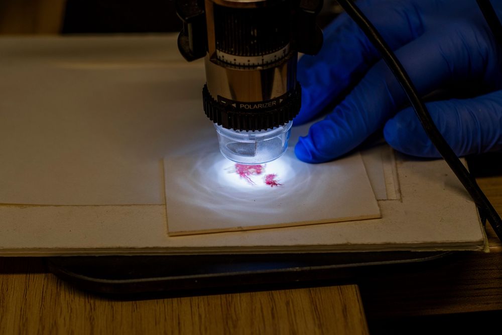 La Autoridad de Antigüedades de Israel anunció el descubrimiento del preciado tejido. &nbsp;